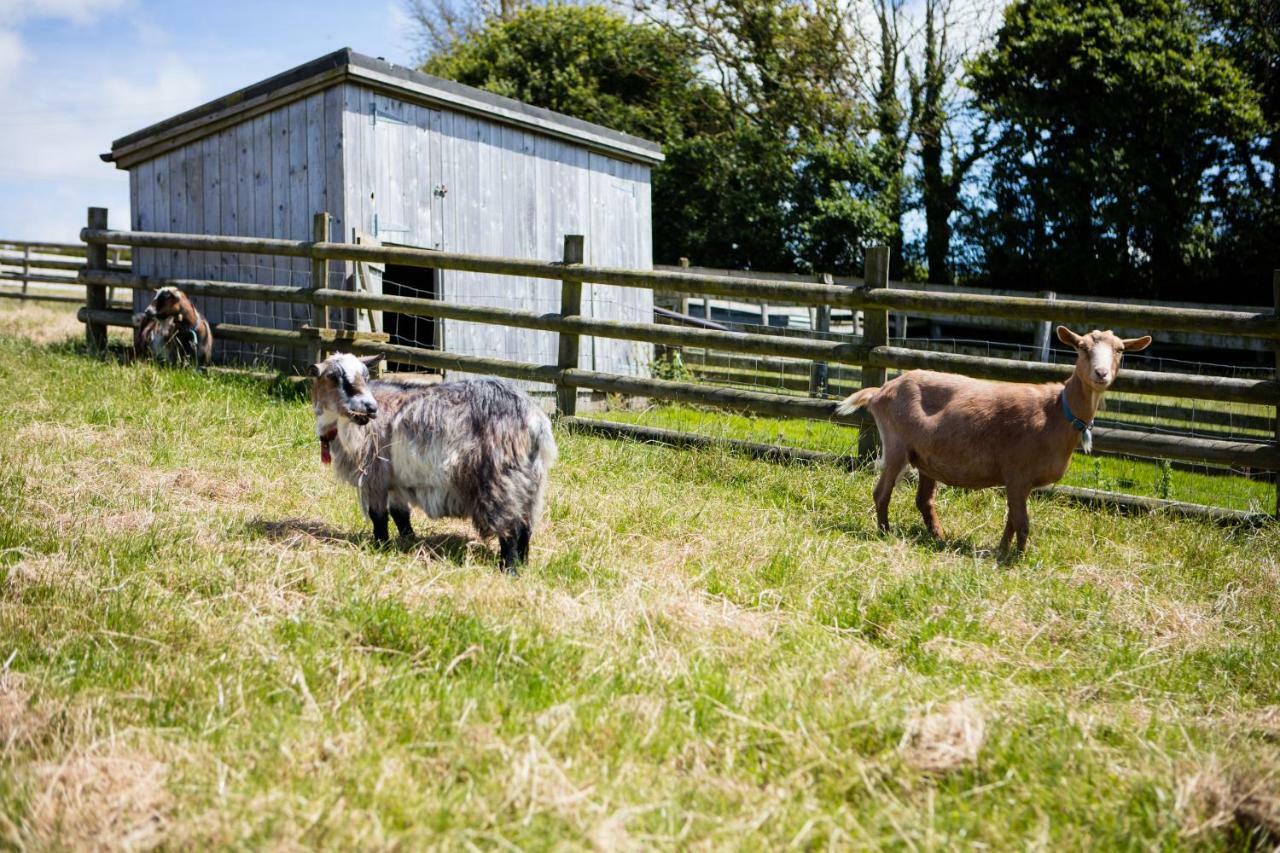 Sharlands Farm Holiday Cottages بود المظهر الخارجي الصورة